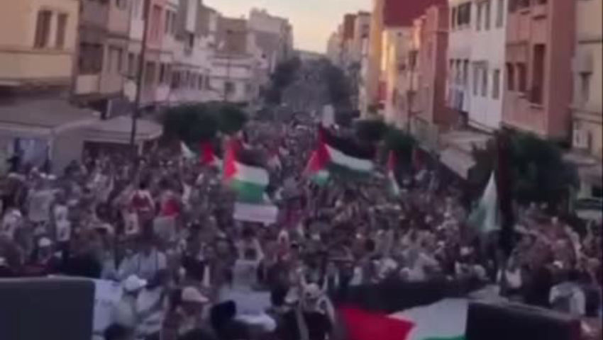 video.europalestine.com